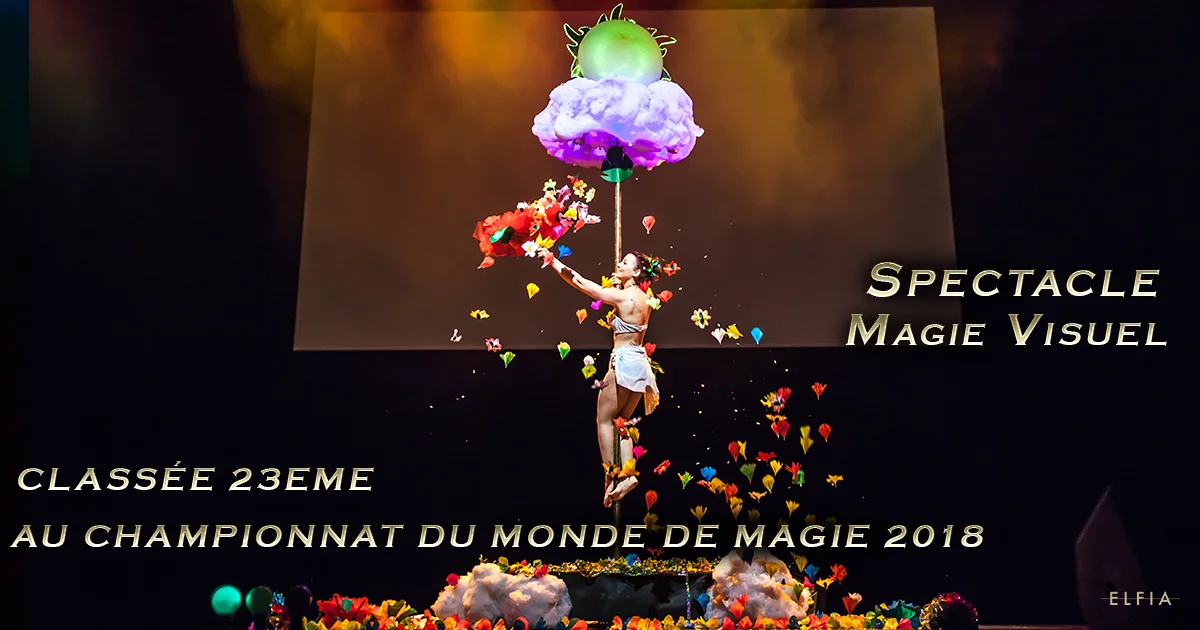 magicien magie visuelle magie visuelle , tours de magie visuel et bluffant magicien magicienne