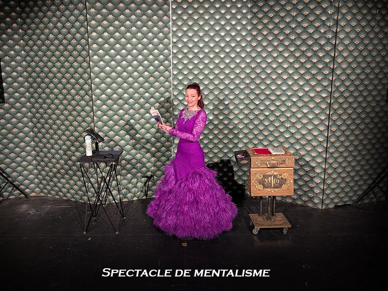 mentaliste 95 spectacle de mentalisme val d'oise