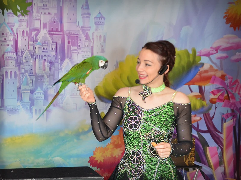 perroquet magicien magiciens des oiseaux seine et marne
